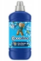 coccolino passion flower.PNG