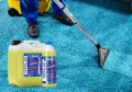 carpet tenzi.webp